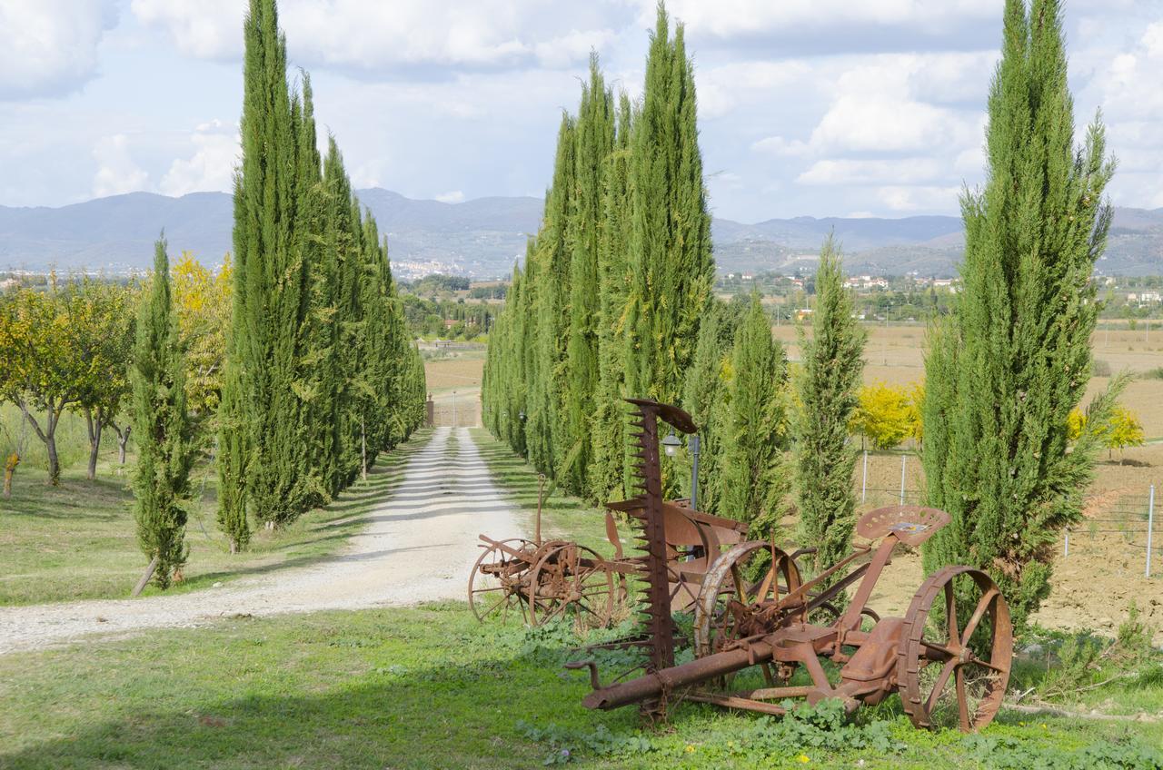 VILLA Fattoria Le Giare Agriturismo Cortona Esterno foto